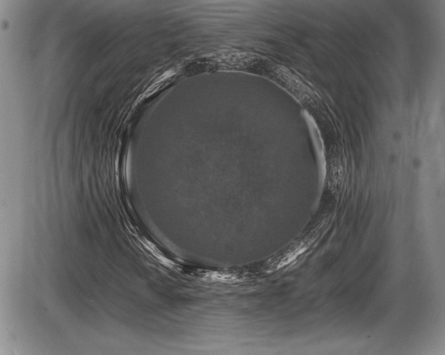 X0000086241010200703291349