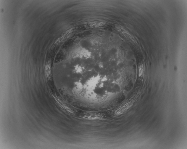 X0000086241011200703291349