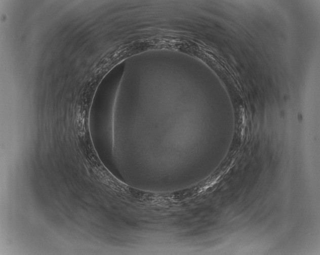 X0000086241013200703291349