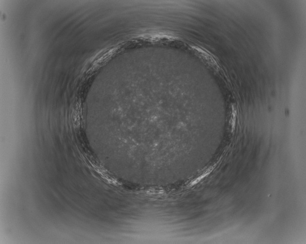 X0000086241014200703291349