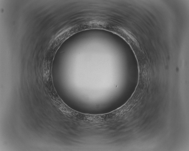 X0000086241015200703291349