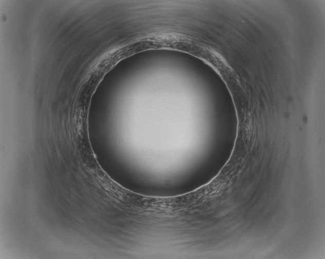 X0000086241016200703291350