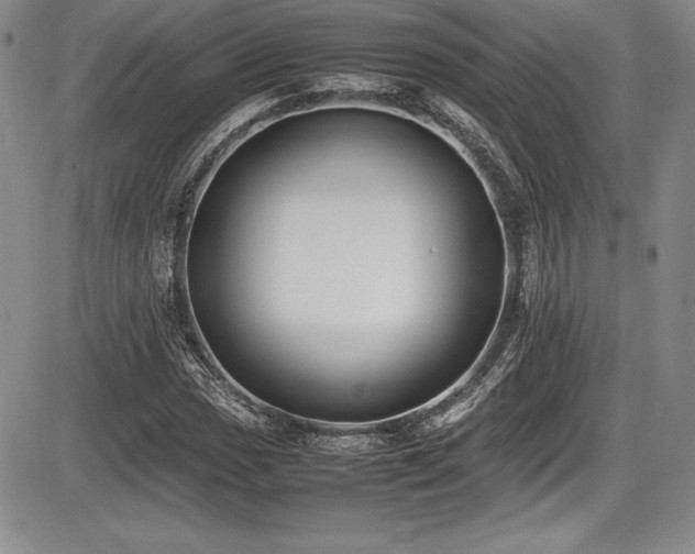X0000086241017200703291350