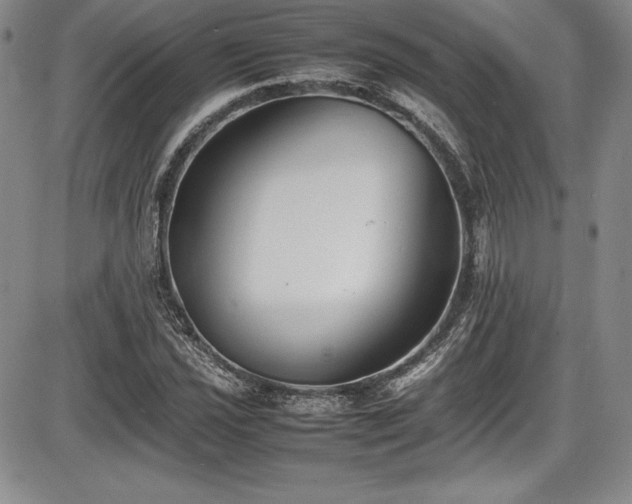 X0000086241021200703291350