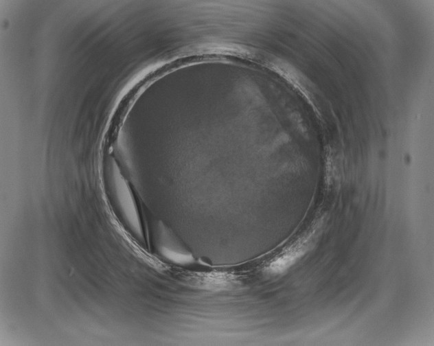 X0000086241024200703291350