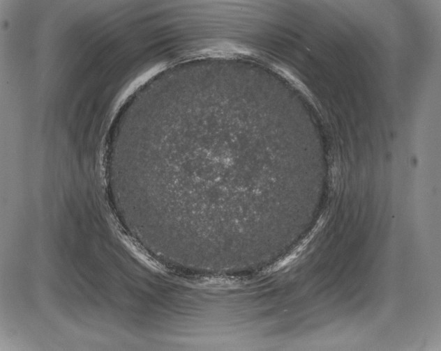 X0000086241026200703291350