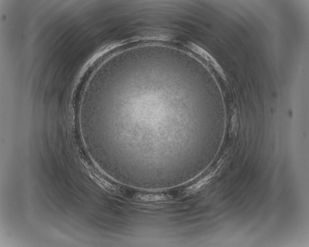 X0000086241027200703291350