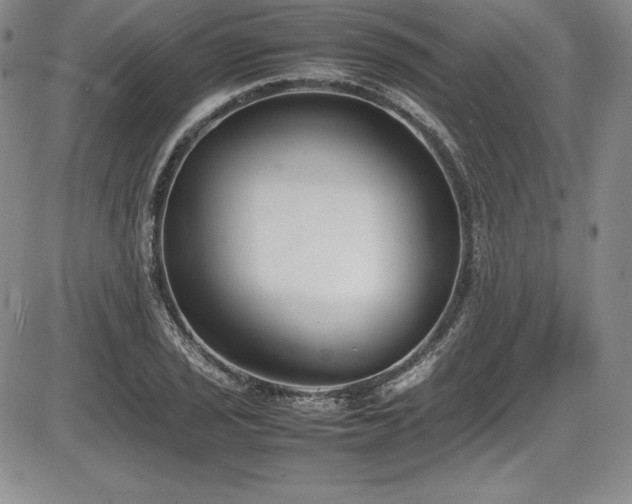 X0000086241029200703291350