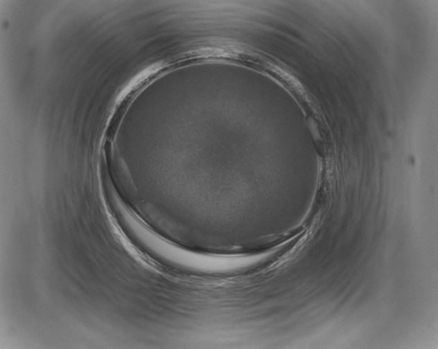 X0000086241034200703291350