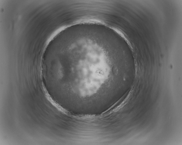 X0000086241038200703291350