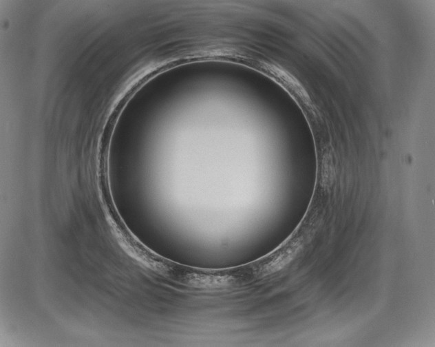 X0000086241039200703291350