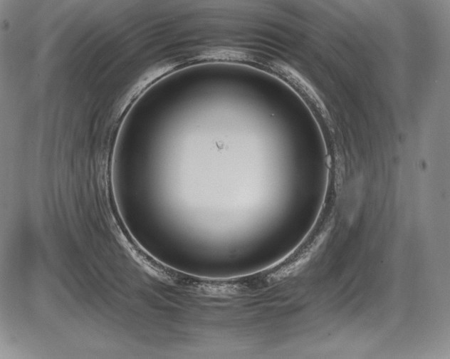 X0000086241041200703291350