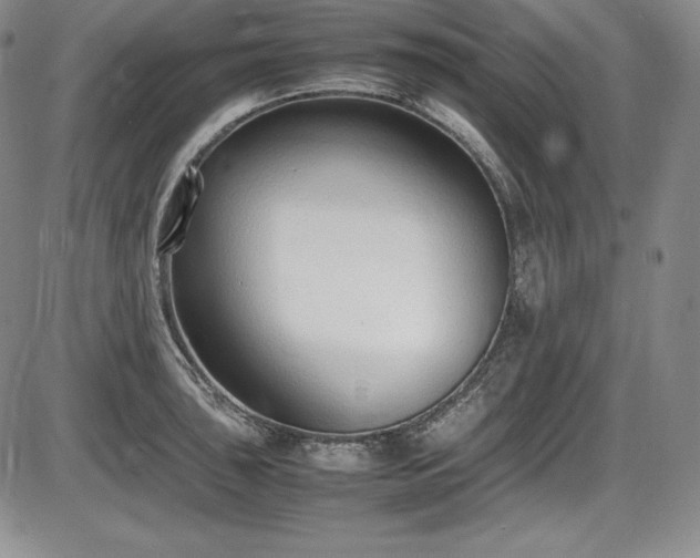 X0000086241043200703291350