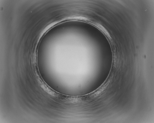 X0000086241044200703291350
