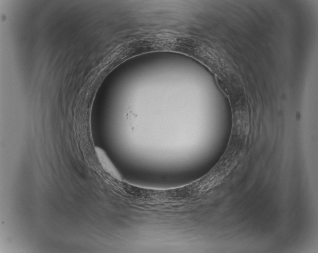 X0000086241057200703291349
