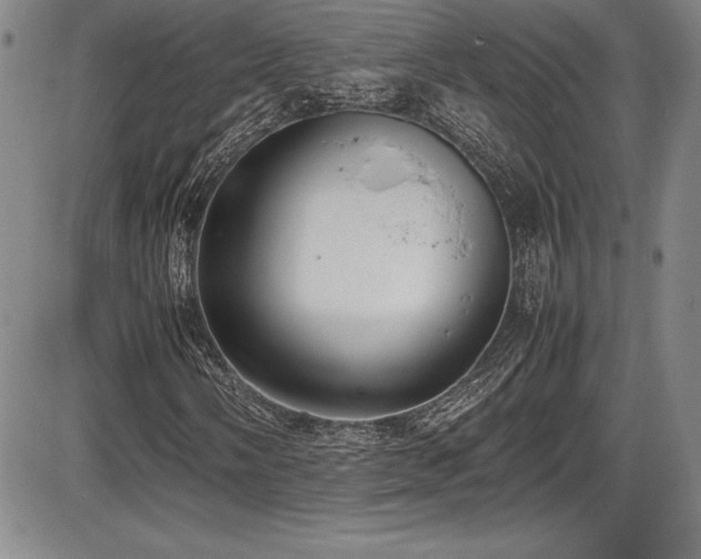 X0000086241058200703291349
