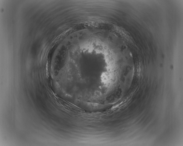 X0000086241060200703291349