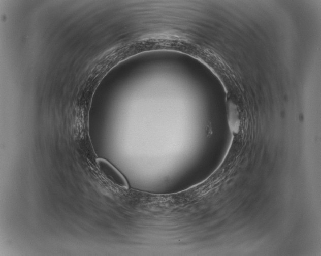 X0000086241062200703291349