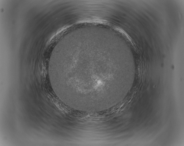 X0000086241064200703291349
