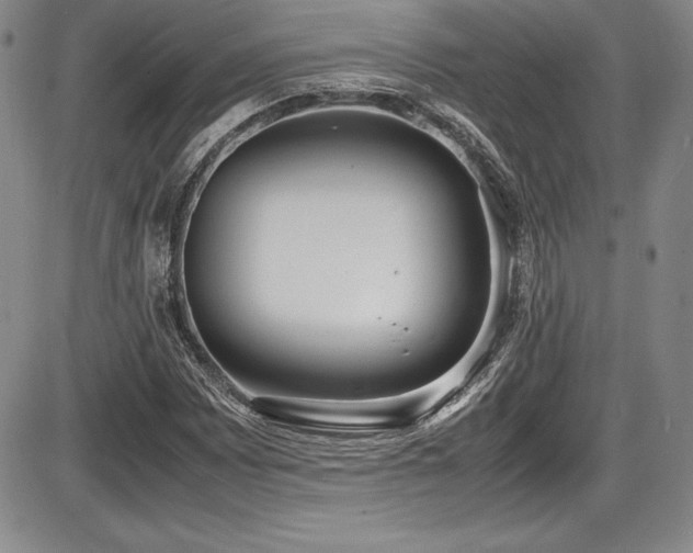 X0000086241065200703291349