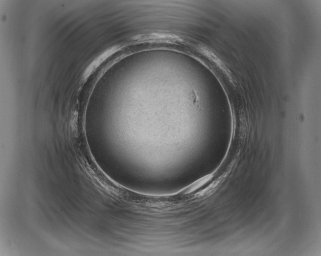 X0000086241066200703291349