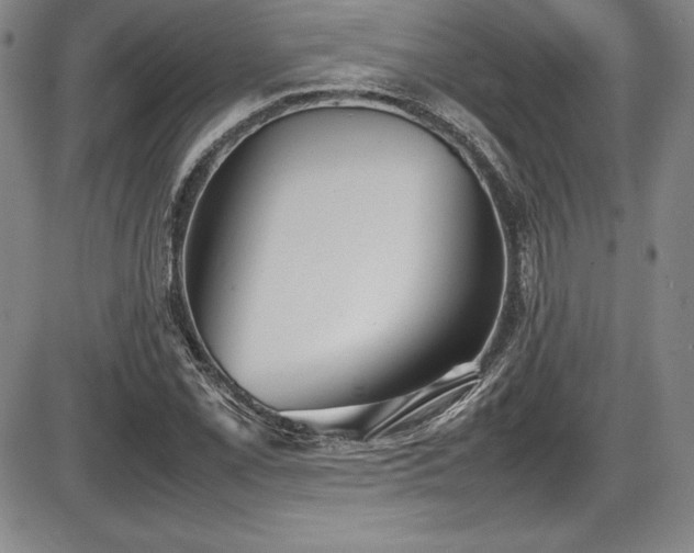 X0000086241069200703291349