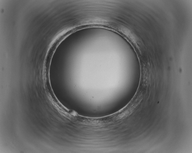 X0000086241072200703291349