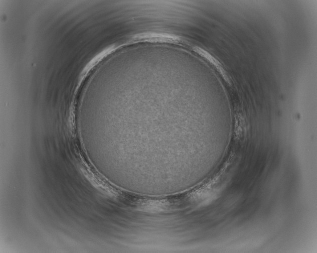 X0000086241074200703291349