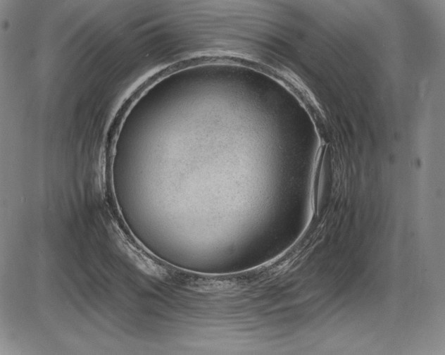 X0000086241076200703291349