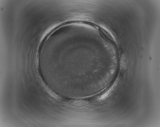X0000086241077200703291349
