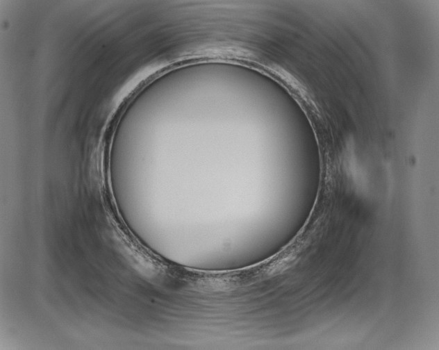 X0000086241078200703291349