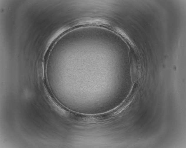 X0000086241079200703291349