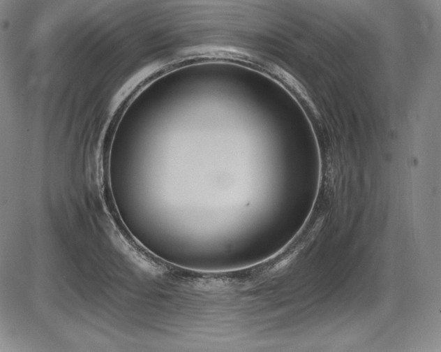 X0000086241082200703291349