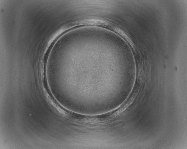 X0000086241083200703291349