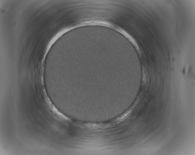 X0000086241102200703291349