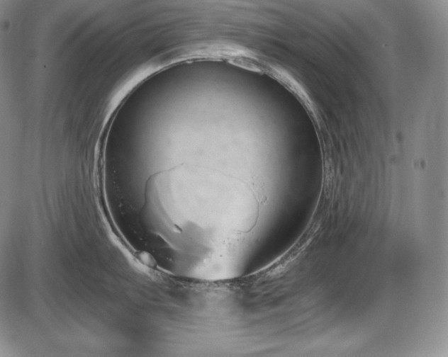 X0000086241103200703291349