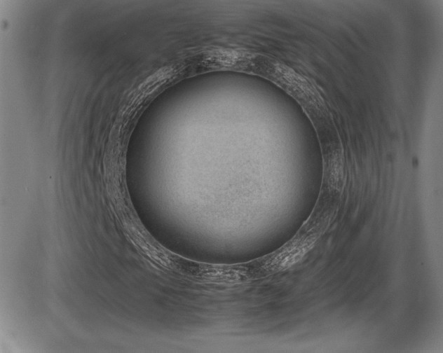 X0000086241105200703291348