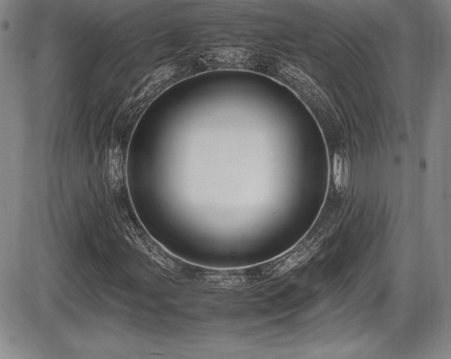 X0000086241107200703291348