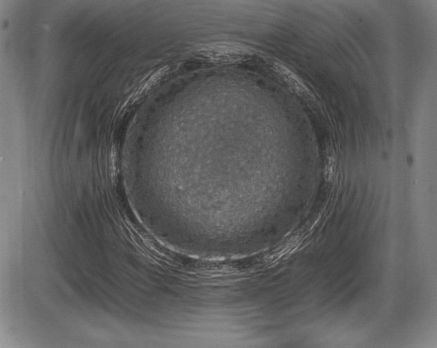 X0000086241108200703291348