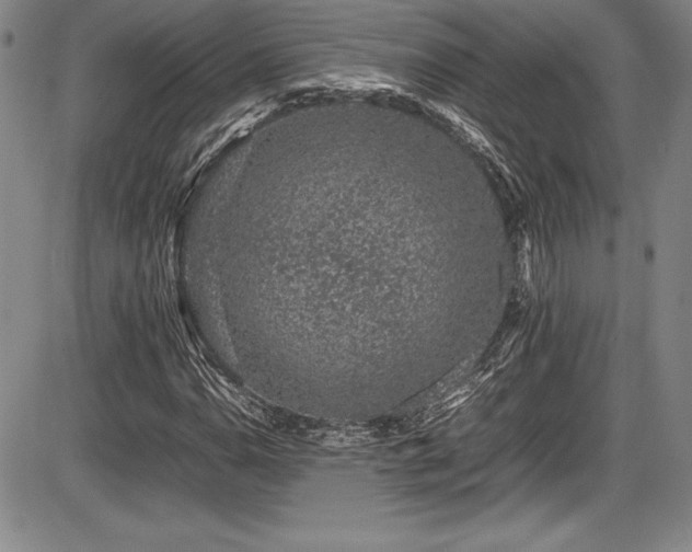 X0000086241110200703291348
