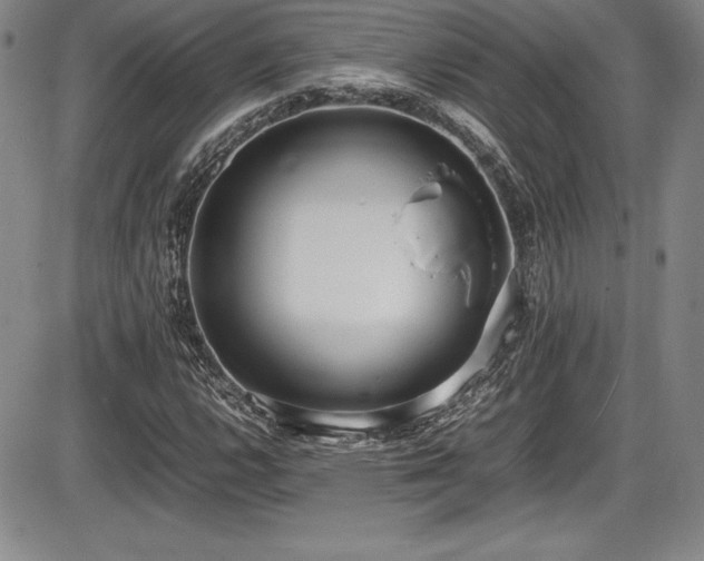 X0000086241112200703291348
