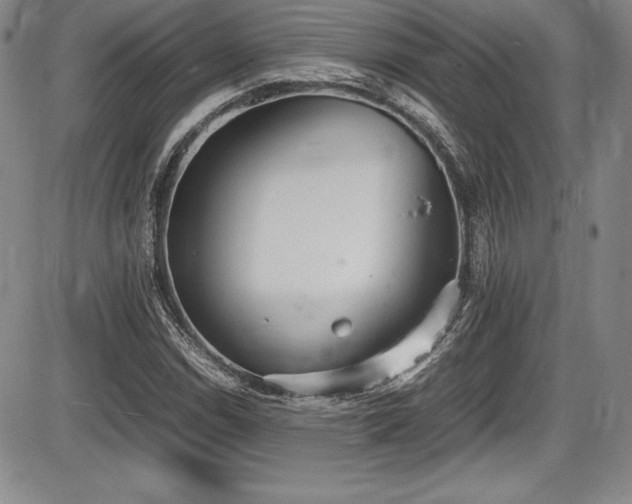 X0000086241114200703291348