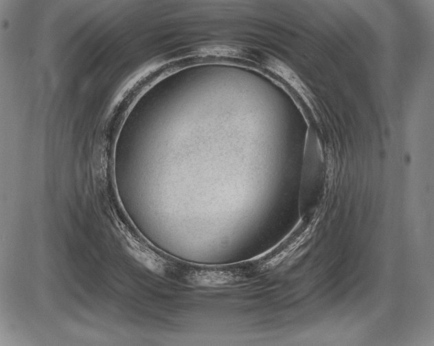 X0000086241115200703291348