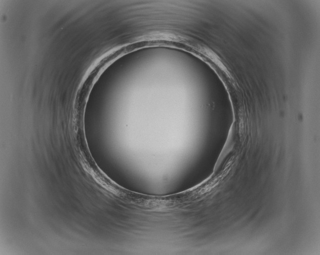X0000086241116200703291348