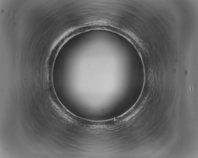 X0000086241118200703291348