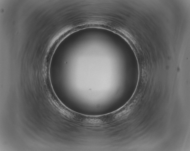 X0000086241119200703291348