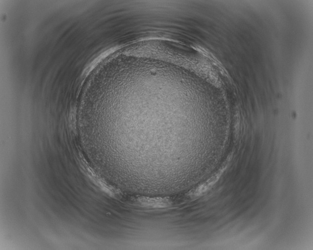 X0000086241121200703291348