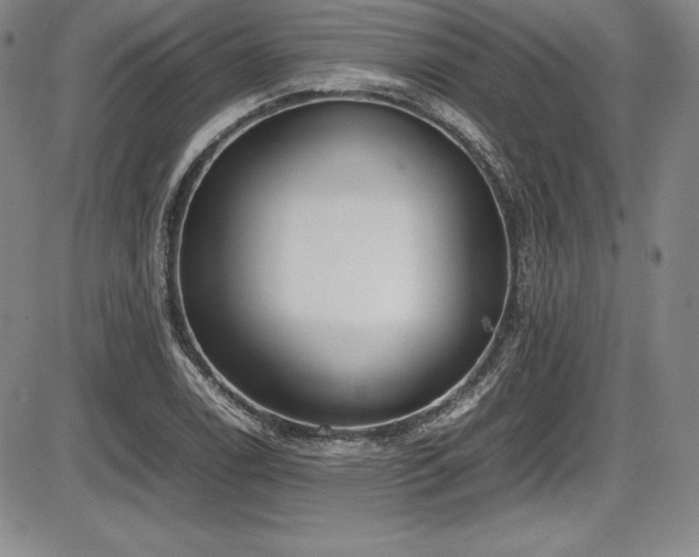 X0000086241122200703291348