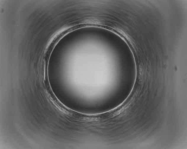 X0000086241123200703291348