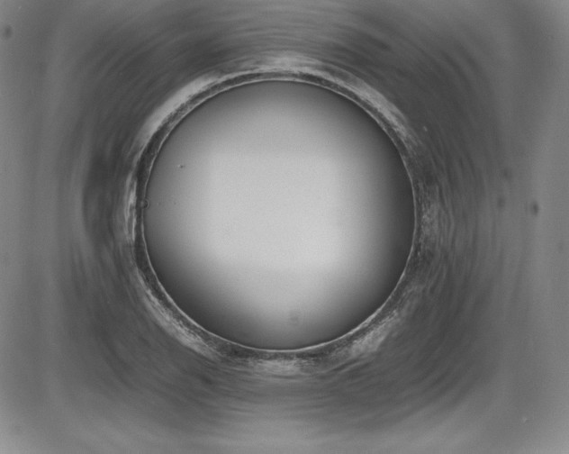X0000086241126200703291348